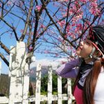 粉紅炸裂!陽明山平菁街單車旅遊
