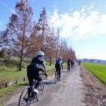 日本茨城霞之浦單車小旅行：賞楓與銀杏