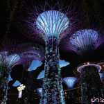 【新加坡濱海灣】夜景絕美，視覺盛宴等你來