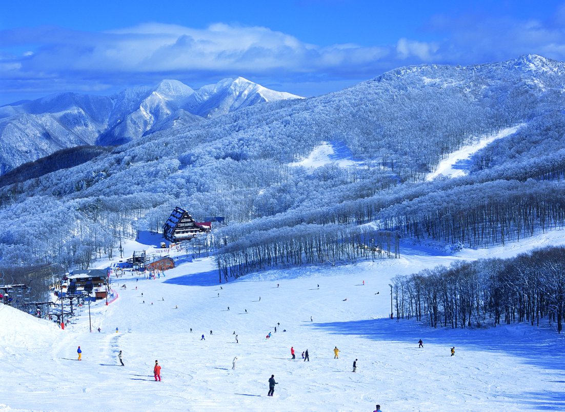 蔵王滑雪 蔵王滑雪