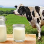 愛上運動後常聽到的乳清蛋白，到底什麼時候喝最合適？