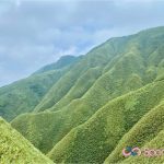 礁溪抹茶山、爆紅景點背後，其實是肌耐力與意志力的考驗
