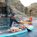 【SUP 立槳體驗、象鼻岩】夏日海上涼爽之旅:SUP 立槳、浮潛與自然岩石象鼻岩的結合體驗