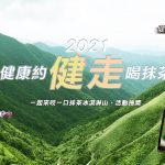 台灣初級健走：一起尋寶，來場抹茶山健走一日遊