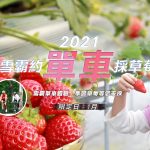 台灣苗栗一日遊：採草莓、雪霸森林單車與健走