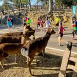 奈良馬拉松 3 天 2 夜:保證參賽名額、住宿與古都自由行