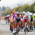 2026 日本單車巡遊:Japan Cup 宇都宮觀賽與紅葉騎旅五日