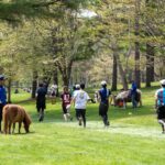日本馬拉松之旅:Northern Horse Park 3天2夜行程規劃
