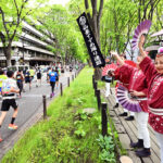 仙台半馬馬拉松周邊 3 天 2 夜行程規劃